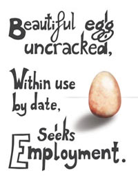 beautiful egg