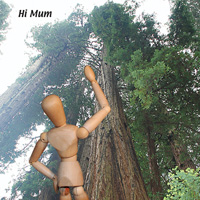 Edwood & Peg series